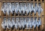 Genuine Ncr CX3/CX5/CX7 Power Supply FSP150-A24C14 9NA1505900 497-0524379 (new). Price: $49.99.